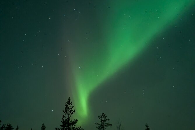 Northern Lights Walk to Old Kemi with BBQ and Arctic Views - Who this tour suits best (and who should think twice)
