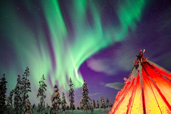 Northern Lights Wilderness Small-Group Tour from Rovaniemi - Key things that make this tour worth your attention