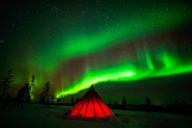 Northern Lights Wilderness Small-Group Tour from Rovaniemi - Traditional fire time: warmth, stories, and real Arctic patience