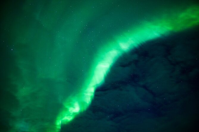 Northern Lights Wilderness Small-Group Tour from Rovaniemi - What the guides do that you can feel, even before the lights