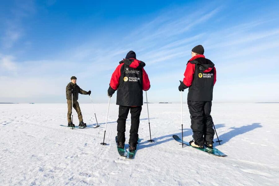 Oulu: Arctic Sea Snowshoe Experience - A beginner-friendly way to see Oulu’s winter from the ice