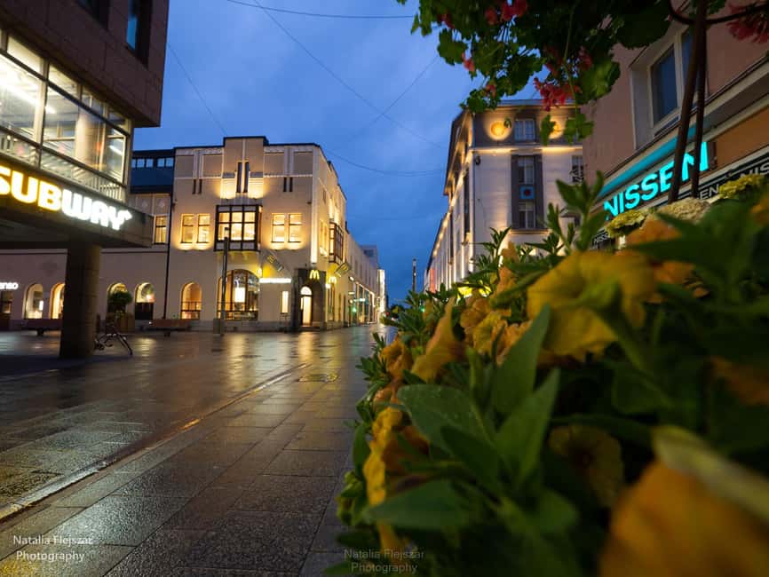 Oulu City Tour: Discover the heart of Oulu in just 1 hour! - Oulu City Hall and Jugendstil Details You Can Actually See