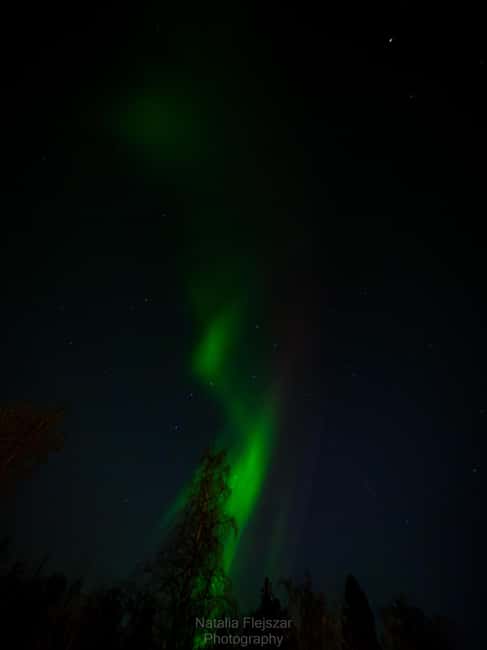 Oulu: Guided Night Walking Tour with Northern Lights Hunting - The photography angle: professional photos plus a course