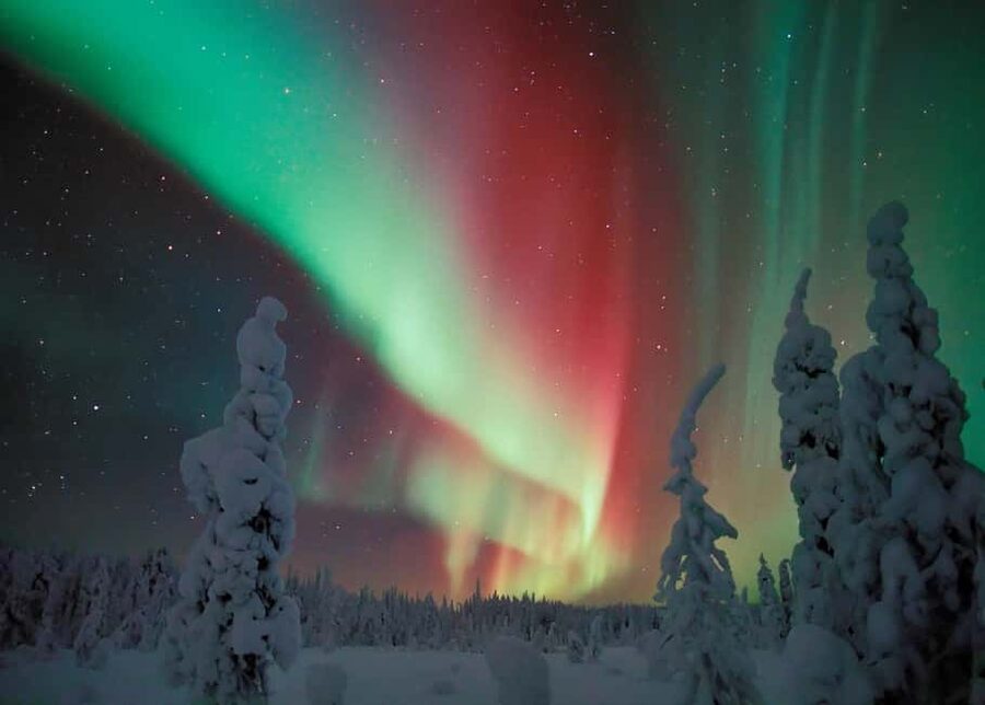 Polar Night Snowshoe Trek - Key things to know before you go