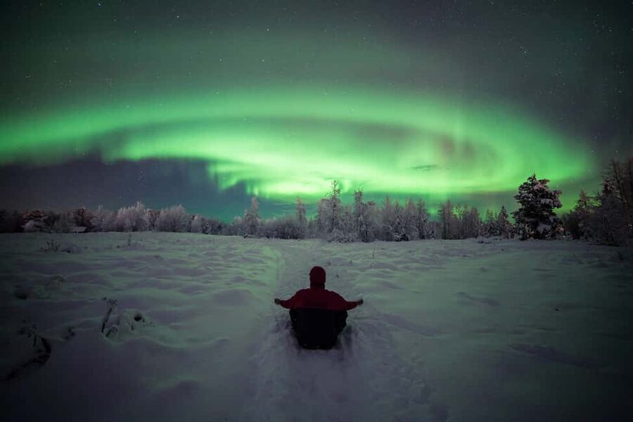Polar Night Snowshoe Trek - Your 3-Hour Trek Through the Snowy Forest, Birds, and Quiet Reindeer Moments