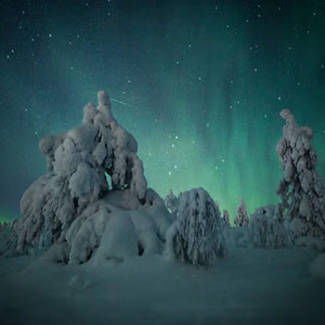 Polar Night Snowshoe Trek - Should You Book This Polar Night Snowshoe Trek?