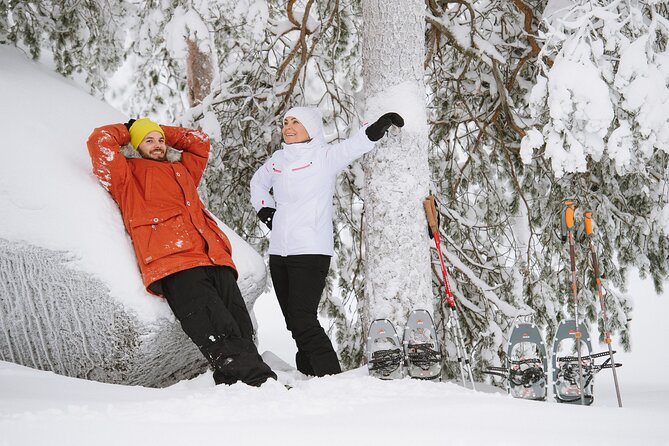 Premium Snowshoeing in Pyhä-Luosto National Park - The Bonfire Stop: Warm Up, Eat Smart, Then Head Back Out