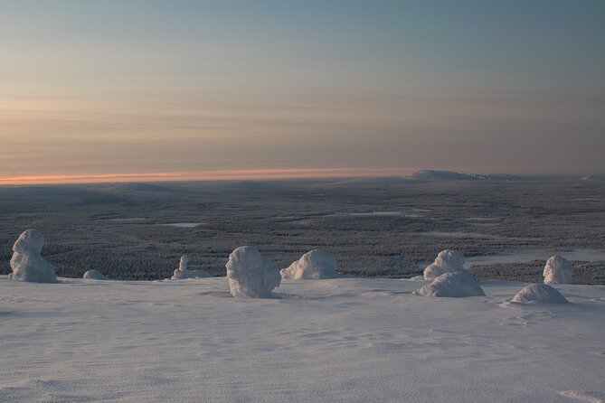 Premium Snowshoeing in Pyhä-Luosto National Park - Up to Pyhä Fell With PyhäExpress Chair Lift, Weather Permitting