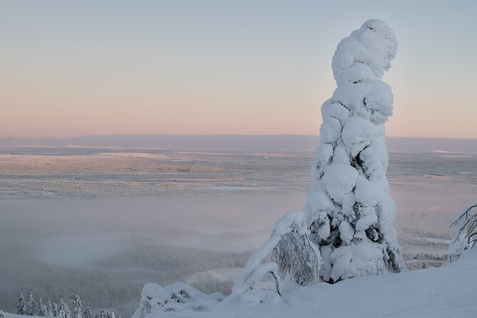 Premium Snowshoeing in Pyhä-Luosto National Park - Walking Down Into the Arctic Taiga Forest