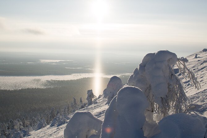 Premium Snowshoeing in Pyhä-Luosto National Park - Fitness Level and Pacing: Who It Suits Best