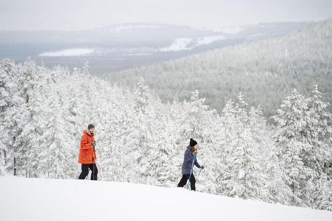 Premium Wilderness Skiing in Pyhä-Luosto National Park - Your Altai Skis: Why Short Gear Feels Easier in Deep Snow