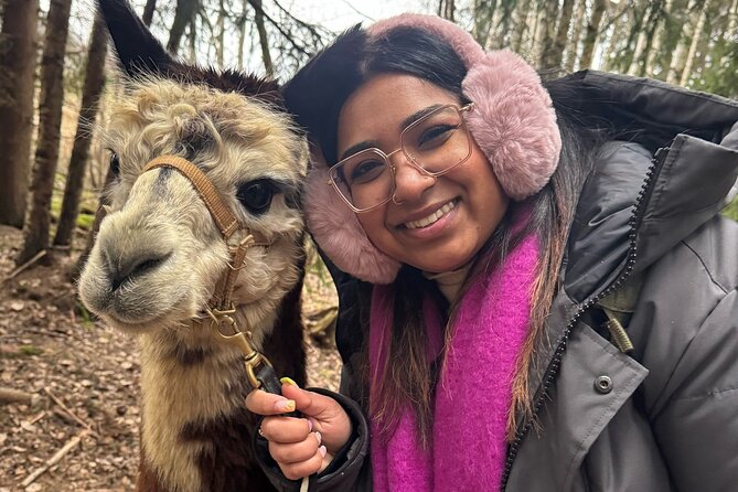 PRIVATE Alpaca Guided Forest Walk + Feeding Helsinki - Guide style in English, plus culture talk on the drive