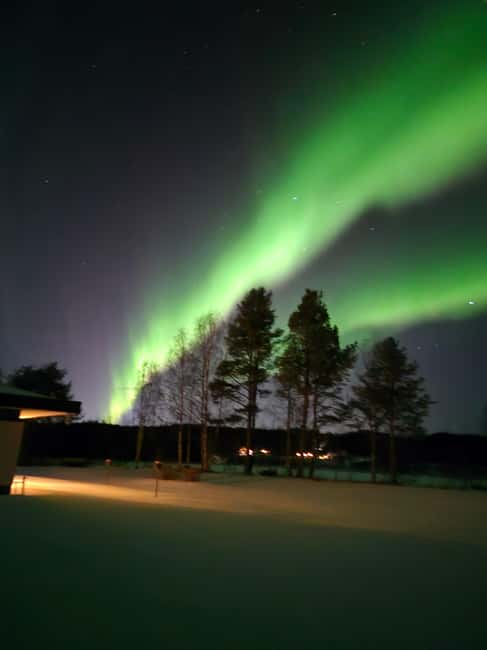 Private and authentic reindeer experience in homefarm - What kind of traveler should book this?