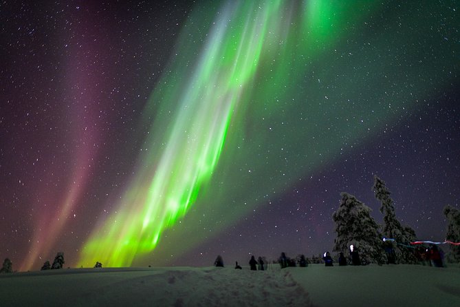 Private Aurora Tour by Lapland Welcome Aurora Experts for 1-4 persons - Key things I’d clock before you go