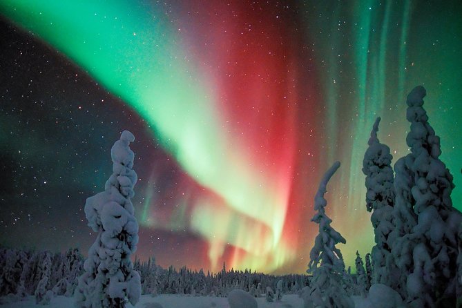 Private Aurora Tour by Lapland Welcome Aurora Experts for 1-4 persons - Finding the best spot in the Ivalo-Saariselkä area, not the closest one