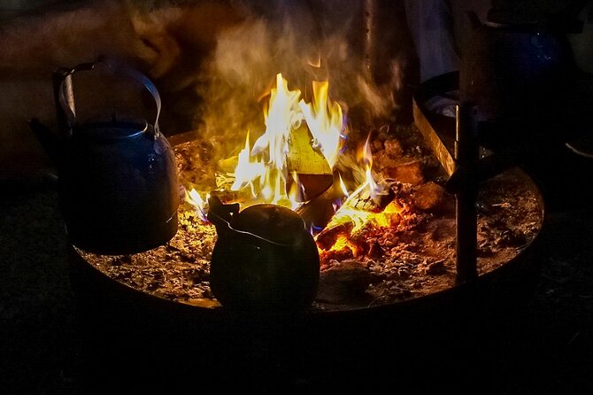PRIVATE Authentic Reindeer Experience Helsinki - Who should book this private reindeer experience