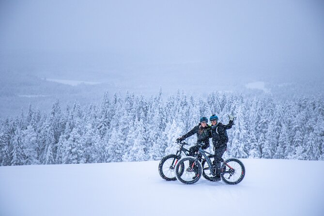 Private Electric Fat Bike Winter Tour in Rovaniemi - Key highlights worth your attention