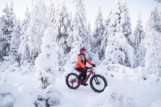 Private Electric Fat Bike Winter Tour in Rovaniemi - Electric fat bikes in Rovaniemi: why this tour works in winter
