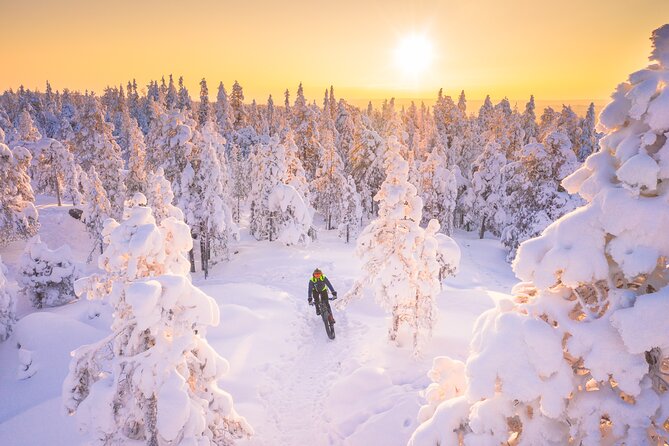 Private Electric Fat Bike Winter Tour in Rovaniemi - City glide to Kemijoki River, plus quick photos at the Candle Bridge