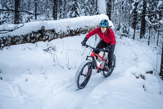 Private Electric Fat Bike Winter Tour in Rovaniemi - Meeting at Hostel Café Koti, then a gear-and-bikes reset at Roll Outdoors
