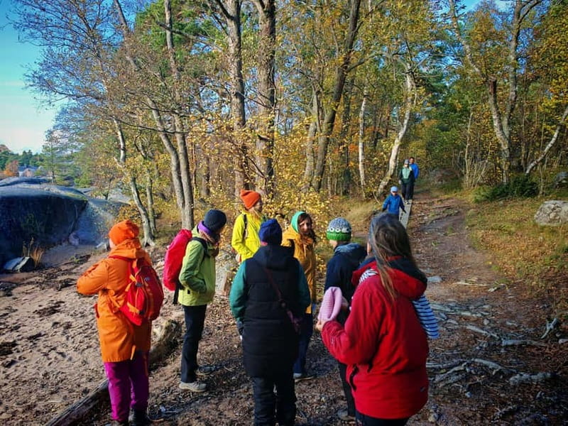Private Forest Mind Tour in Tampere - A short nature reset inside Kauppi Forest