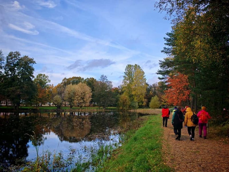 Private Forest Mind Tour in Tampere - Why Patrick’s mushroom focus is more than a fun add-on