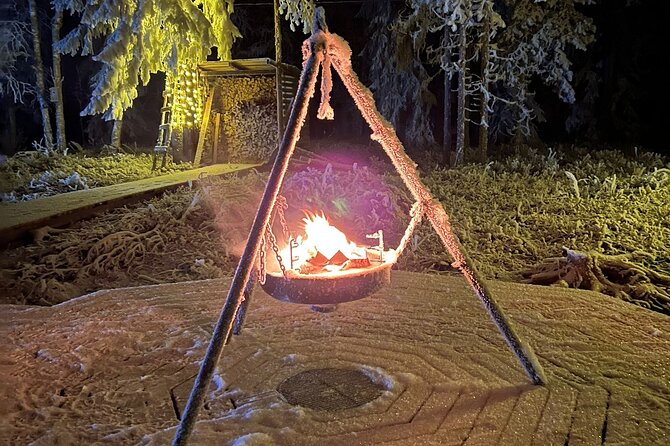 PRIVATE Glass Igloo Dinner Under Northern Lights - Key highlights you will care about