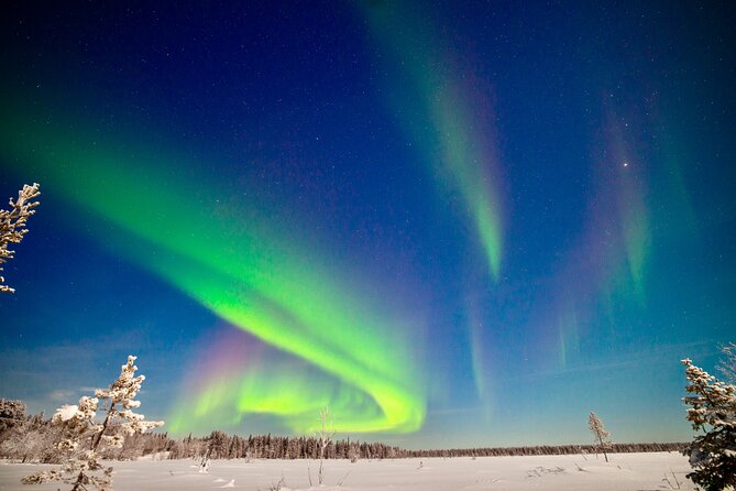 Private Group: Northern Lights Hunt 4x4 SUV with Aurora guarantee - Key things to know before you go