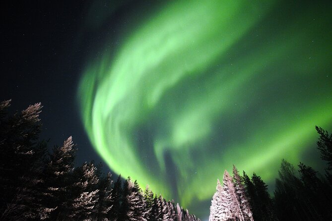 Private Group: Northern Lights Hunt 4x4 SUV with Aurora guarantee - 8:00 pm pickup to 4 to 5 hours total: how the timing actually feels
