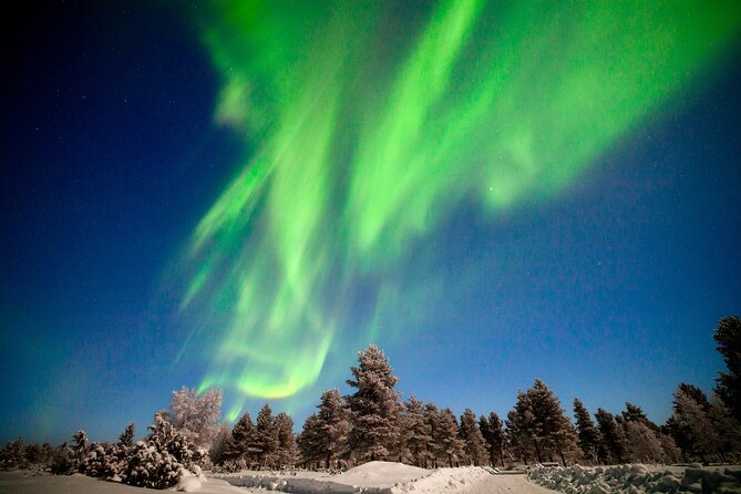 Private Group: Northern Lights Hunt 4x4 SUV with Aurora guarantee - Price and value: is $324.41 per person actually fair