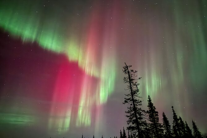 Private Group: Northern Lights Hunt 4x4 SUV with Aurora guarantee - Who should book this Levi aurora hunt, and who should skip it