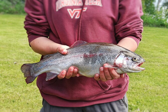 Private Guided Fishing Boat Tour in Rovaniemi - Swim breaks and food moments: the day can be more than fishing