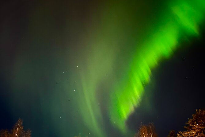 Private Northern Lights Chase with Guaranteed & Refund Policy - Price Value: What $78.10 Buys You in the Arctic Night