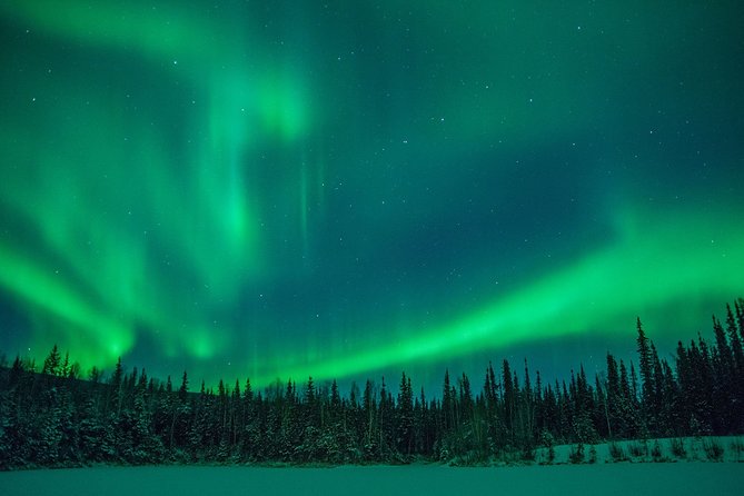 Private Northern Lights Hunting Tour Rovaniemi - Meeting at Scandic Rovaniemi City, plus pickup that reduces hassle