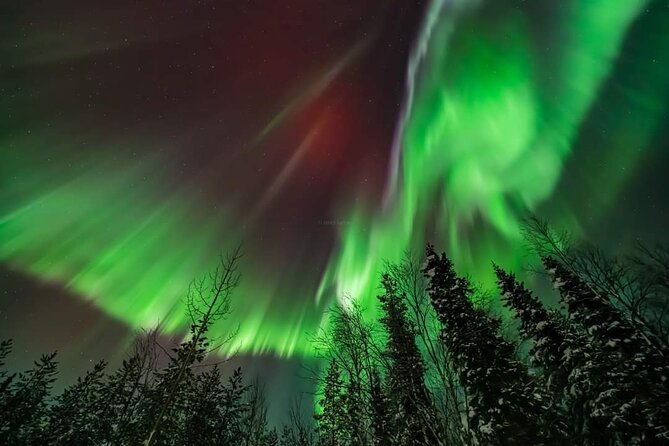 Private Northern Lights Hunting Tour Rovaniemi - FAQ
