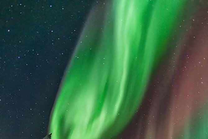 Private Northern Lights Hunting Tour Rovaniemi - The outside-city drive: how the aurora hunt is built around darkness
