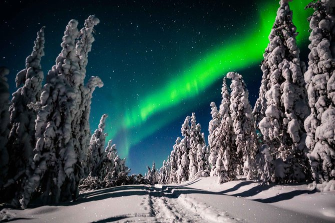 Private Northern Lights photography tour in Rovaniemi - On foot: warm kit, headlamps, and calmer photography setup
