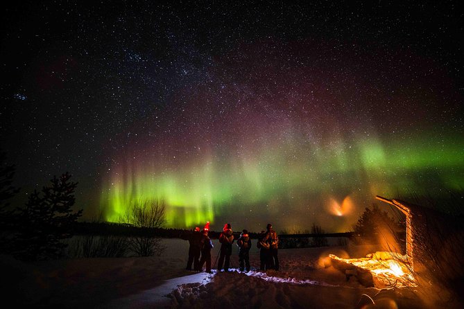 Private Northern Lights photography tour in Rovaniemi - Price and value: what $868.91 buys for a group of up to 4