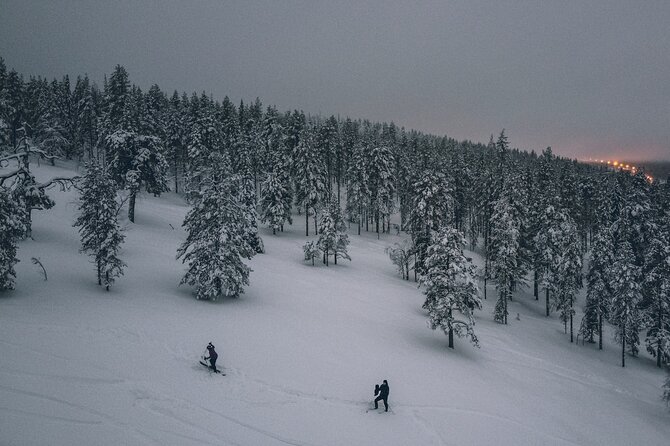 Private Northern Lights Tour With Skis Or Snowshoes in Pyhä - Pyhatunturi Stop: Hills, Forest Clues, and Animal-Track Time