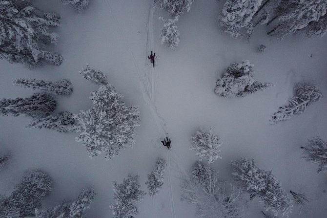 Private Northern Lights Tour With Skis Or Snowshoes in Pyhä - Skis or Snowshoes in Pyhä: Easy Technique for First-Timers