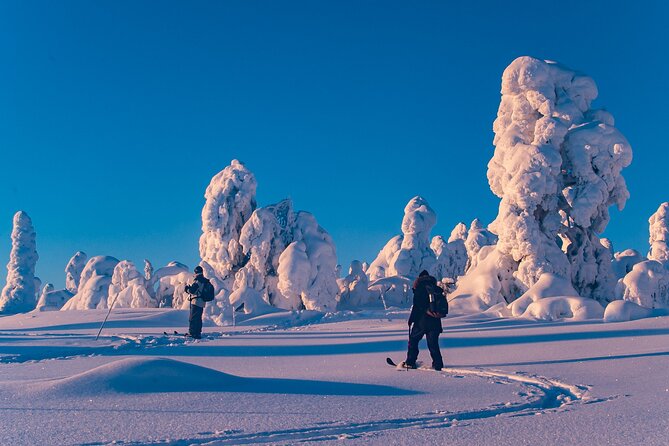 Private Snowshoe or Ski Adventure in Lapland from Rovaniemi - Entering Lapland from Rovaniemi, with a guide who tailors the day