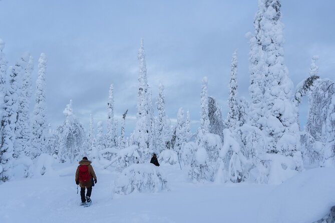Private Snowshoe or Ski Adventure in Lapland from Rovaniemi - On the trail: tracks, fauna talk, and winter skills you can actually use