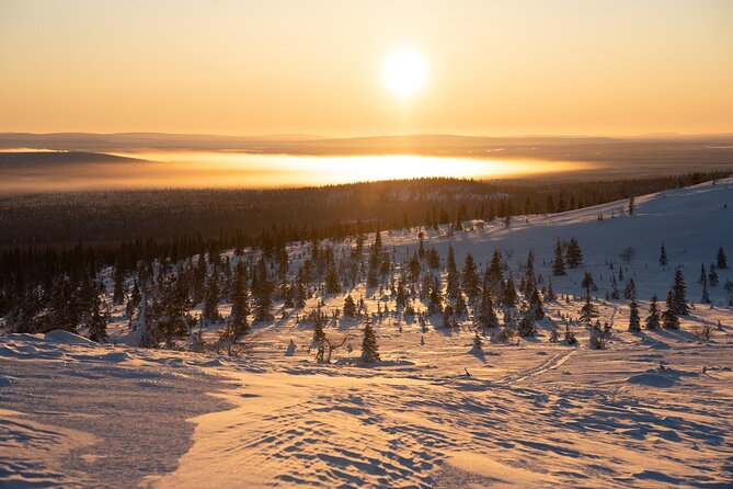 Private Snowshoe or Ski Adventure in Lapland from Rovaniemi - Timing and weather: your day depends on winter conditions