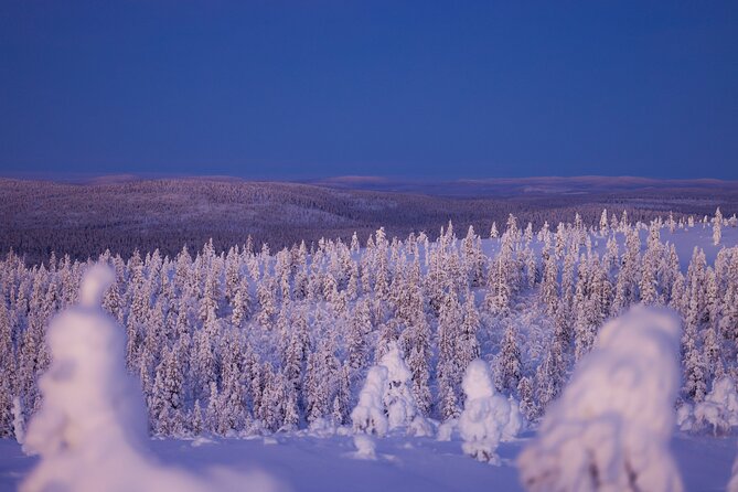 Private Snowshoe or Ski Adventure in Lapland from Rovaniemi - How the day actually flows: from meeting point to back again