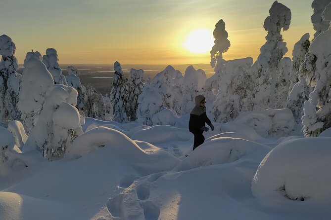 Private Snowshoeing in Levi - Why private snowshoeing in Levi feels different from the usual winter tours