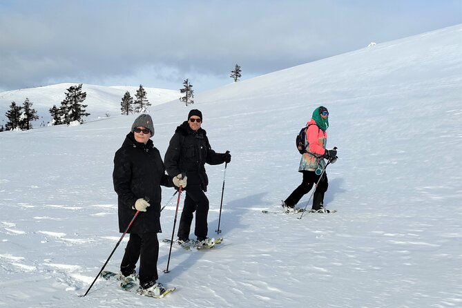 Private Snowshoeing in Levi - Price and value: is $112.95 per person fair for this kind of private tour?