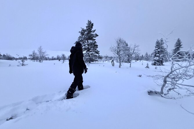 Private: Snowshoeing Safari in spectacular National Park - Why this private snowshoeing safari in Levi feels different