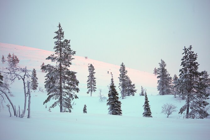 Private: Snowshoeing Safari in spectacular National Park - Timing, group size, and comfort in the cold