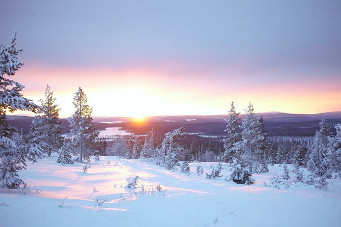 Private: Snowshoeing Safari in spectacular National Park - What happens during the 2 hours on snow: walking the Pallas fells