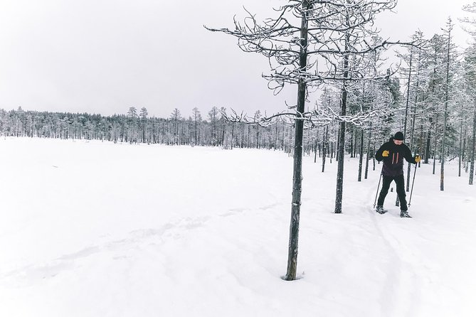 Private Snowshoeing Tour In Pyhätunturi With A Local Guide - The 3-Hour Timing: Why It Feels Just Right